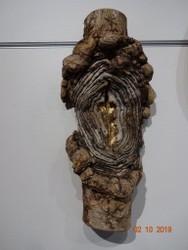 Eschenholzskulpur.JPG
