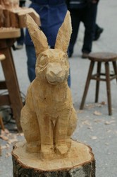 Hase 2.jpg