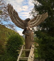 Holzadler_Stefan_Kaeser (1).jpg