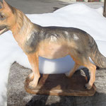 schaeferhund.jpg