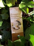 propolis_imkerei_niederndorferberg.jpg
